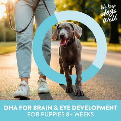 Show full view: Dogswell Lifestage Mini Soft Strips Puppy Lamb Jerky Dog Treats, 10-oz bag slide 5 of 12