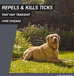 Frontline Shield Flea & Tick Treatment for Extra Large Dogs, 81 - 120 lbs, 3 doses (3-Month Protection) slide 2 of 9