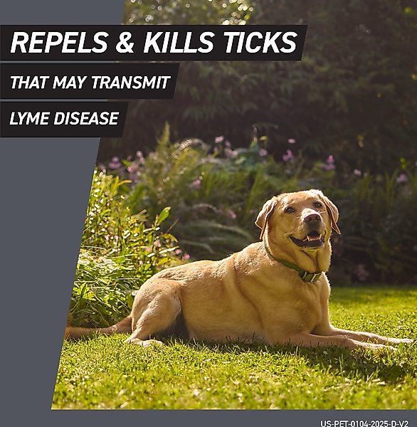 Frontline Shield Flea & Tick Treatment for Small Dogs, 11 - 20 lbs