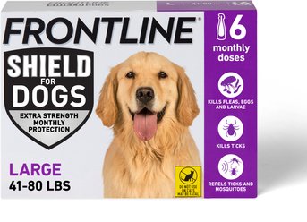 Frontline Shield Flea & Tick Treatment for Large Dogs, 41 - 80 lbs, 6 doses (6-Month Protection)