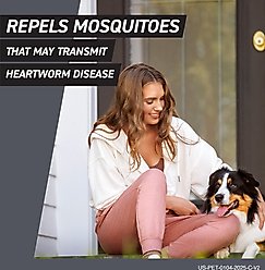 Frontline Shield Flea & Tick Treatment for Large Dogs, 41 - 80 lbs, 6 doses (6-Month Protection) slide 2 of 9