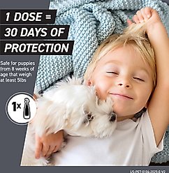 Frontline Shield Flea & Tick Treatment for Medium Dogs, 21 - 40 lbs, 3 doses (3-Month Protection) slide 2 of 9