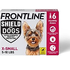 Flea Tick Frontline Gold Vs Nexgard NexGard COMBO Topical Flea