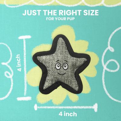 Show full view: Snugarooz Kitty Starfish Plush Cat Toy with Catnip slide 4 of 6