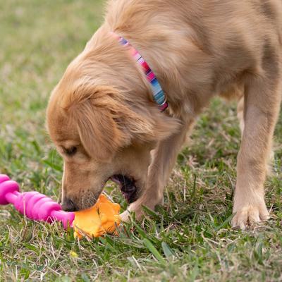 Show full view: Chews Hues Pentagon Ball Squeaker TPR Dog Toy, Yellow slide 2 of 5