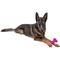 Show in main carousel: Chews Hues Short Bone Squeaker TPR Dog Toy, Pink slide 5 of 7