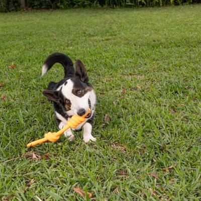 Show full view: Chews Hues Loop & Knot Squeaker TPR Dog Toy, Yellow slide 3 of 7