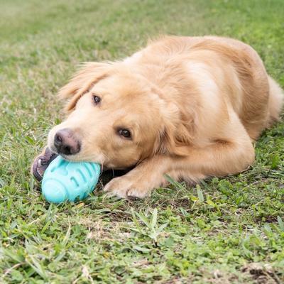 Show full view: Chews Hues Football Squeaker TPR Dog Toy, Turquoise slide 3 of 7