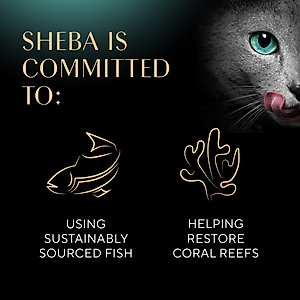 Sheba Perfect Portions Grain-Free Roasted Chicken, Gourmet Salmon & Tender Turkey Cuts in Gravy Variety Pack Adult Wet Cat Food Trays, 1.3-oz, case of 24 twin-packs