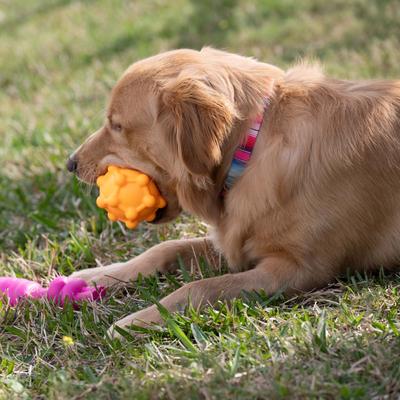 Show full view: Chews Hues Pentagon Ball Squeaker TPR Dog Toy, Yellow slide 3 of 5