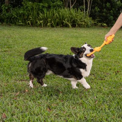 Show full view: Chews Hues Loop & Knot Squeaker TPR Dog Toy, Yellow slide 5 of 7