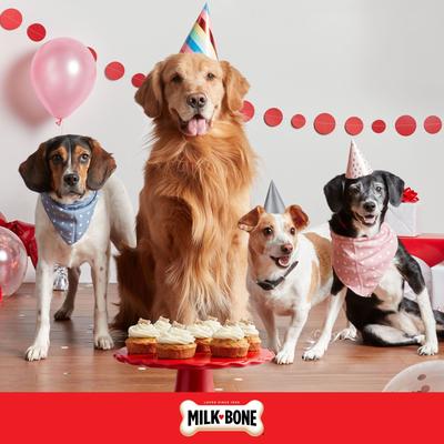 Show full view: Milk-Bone Extra-Large Dipped CELEBRATE! Crunchy Dog Treats, 2.9-oz pouch slide 8 of 12