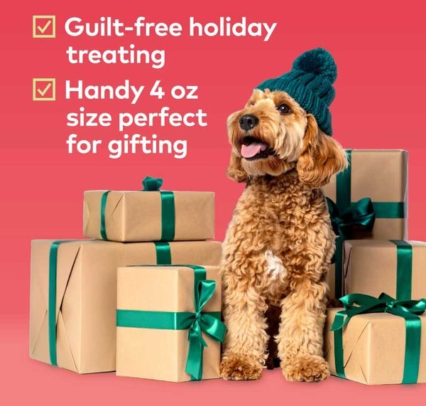 Honest To Goodness Plant Snacks Howliday Pumpkin Spice Recipe Dog Treats, 4-oz bag