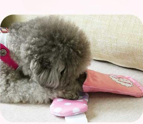 Show full view: EYS Hide-and-Seek Ice Lolly Plush Puzzle Interactive Dog Toy slide 4 of 7