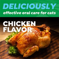 TropiClean Chicken Flavored Fresh Breath Toothbrush & Toothpaste Cat Dental Care Kit, 2.5-fl oz slide 2 of 9