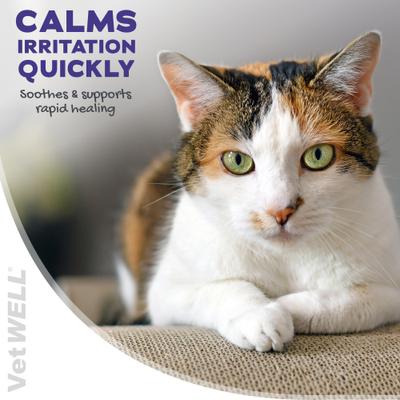 Show full view: VetWELL Hydrocortisone with Pramoxine Dog & Cat Skin Care Spray, 4-fl oz bottle slide 6 of 8