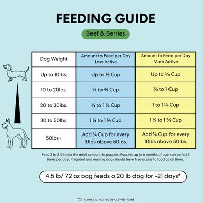 Show full view: The Pets Table Beef & Berries Grain-Free Air-Dried Dog Food, 72-oz bag slide 7 of 10