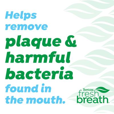 Show full view: TropiClean Chicken Flavored Fresh Breath Toothbrush & Toothpaste Cat Dental Care Kit, 2.5-fl oz slide 8 of 10