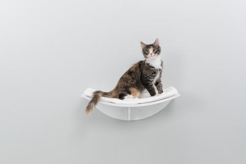 Show full view: TRIXIE Lea Wall Mounted Cat Bed, X-Large, White slide 3 of 8