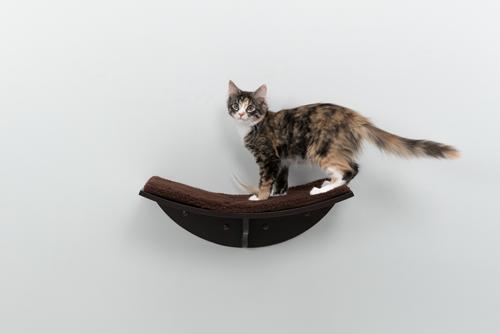 Show full view: TRIXIE Lea Wall Mounted Cat Bed, X-Large, Espresso Brown slide 4 of 9