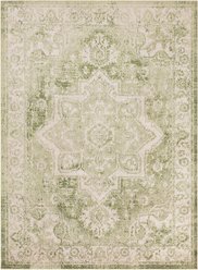 Nourison Astra Machine Washable ASW12 Area Rug, Ivory Green, 63 x 84-in