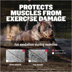 Bully Max 3-in-1 Muscle Gain Liquid Supplement for Dogs, 16-fl oz bottle slide 2 of 9