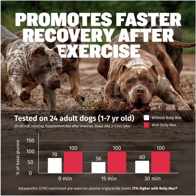 Show full view: Bully Max 3-in-1 Muscle Gain Liquid Supplement for Dogs, 16-fl oz bottle slide 6 of 10