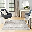Show in main carousel: Nourison Astra Machine Washable ASW12 Area Rug, Silver Grey, 63 x 84-in slide 9 of 9
