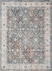 Nourison Astra Machine Washable ASW16 Floral Area Rug, Ivory Multicolor, 63 x 84-in