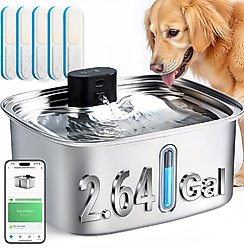 Vacqueen Stainless Steel Automatic Dog Water Fountain with 5 Filter & Sponge, Silver, Large: 2.64-gal, Modern