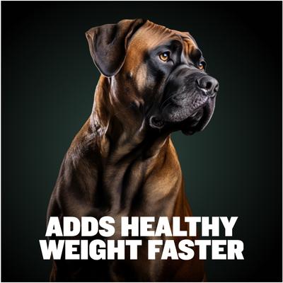 Show full view: Bully Max 2-in-1 Weight Gain Liquid Supplement for Dogs, 16-fl oz bottle slide 4 of 10