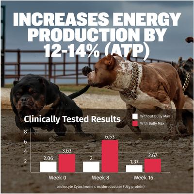 Show full view: Bully Max 3-in-1 Muscle Gain Liquid Supplement for Dogs, 16-fl oz bottle slide 5 of 10