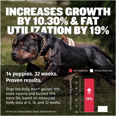 Show full view: Bully Max 3-in-1 Muscle Gain Liquid Supplement for Dogs, 16-fl oz bottle slide 4 of 10