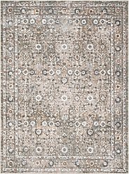 Nourison Astra Machine Washable ASW16 Floral Area Rug, Gold Grey, 63 x 84-in