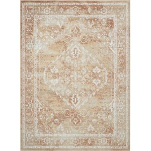 Nourison Astra Machine Washable ASW11 Area Rug, Rust Multicolor, 63 x 84-in
