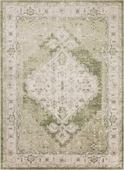 Nourison Astra Machine Washable ASW11 Area Rug, Ivory Green, 63 x 84-in