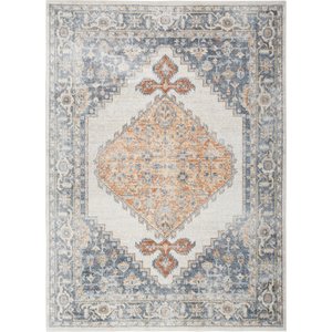 Nourison Astra Machine Washable ASW11 Area Rug, Grey Gold, 63 x 84-in