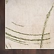 Show in main carousel: Nourison Astra Machine Washable ASW14 Abstract Area Rug, Beige Green, 94 x 120-in slide 2 of 9