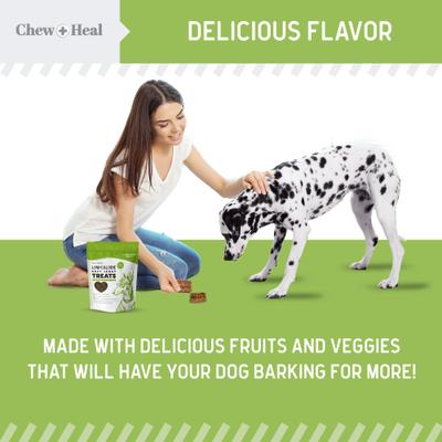Show full view: Chew + Heal Limited Ingredient Low Calorie Fruit & Veggie Superfoods Soft Jerky Dog Treats, 12-oz bag slide 10 of 11