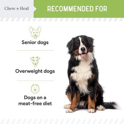 Show full view: Chew + Heal Limited Ingredient Low Calorie Fruit & Veggie Superfoods Soft Jerky Dog Treats, 12-oz bag slide 9 of 11