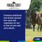 Show in main carousel: ADM Forage First JuniorGlo Horse Feed, 50-lb bag slide 7 of 9