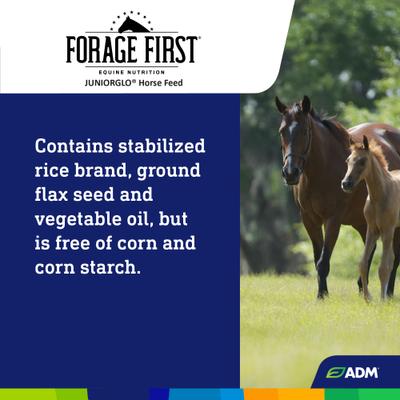 Show full view: ADM Forage First JuniorGlo Horse Feed, 50-lb bag slide 7 of 9