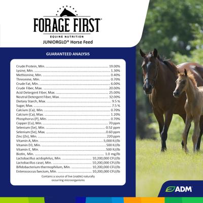 Show full view: ADM Forage First JuniorGlo Horse Feed, 50-lb bag slide 4 of 9