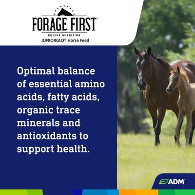 Show full view: ADM Forage First JuniorGlo Horse Feed, 50-lb bag slide 5 of 9