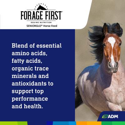 Show full view: ADM Forage First SeniorGlo Horse Feed, 50-lb bag slide 7 of 9