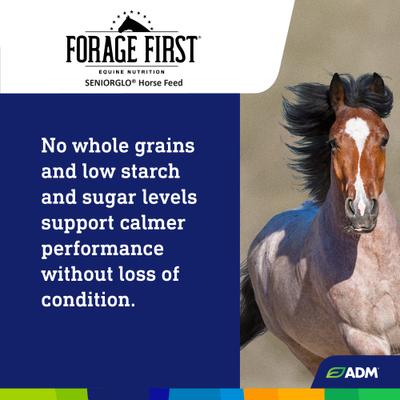 Show full view: ADM Forage First SeniorGlo Horse Feed, 50-lb bag slide 6 of 9