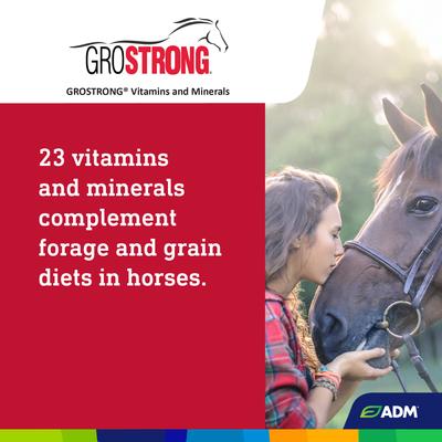 Show full view: ADM GROSTRONG Granules Horse Supplement, 5-lb bag slide 3 of 6