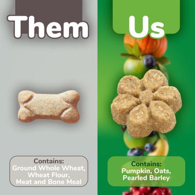 Show full view: Fruitables Pumpkin & Blueberry Flavor + Pumpkin & Apple Flavor Dog Treats slide 4 of 10