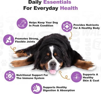 Show full view: Doggie Dailies 5-in-1 Multivitamin Soft Chew Dog Supplement, 225 count slide 5 of 11