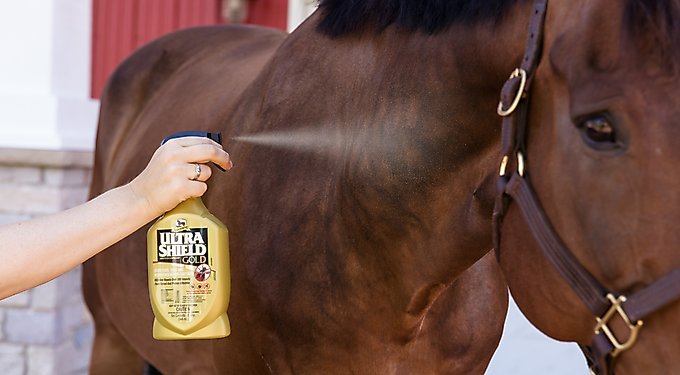 Absorbine Veterinary Topical Menthol Sore Muscles & Arthritis Pain Relief Horse Liniment Gel